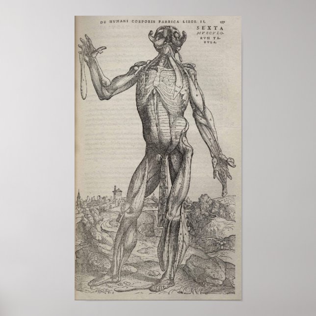 Affiches De Humani Corporis (Devant)