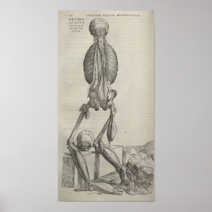 Affiches De Humani Corporis