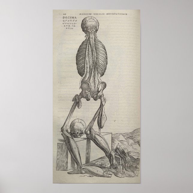 Affiches De Humani Corporis (Devant)