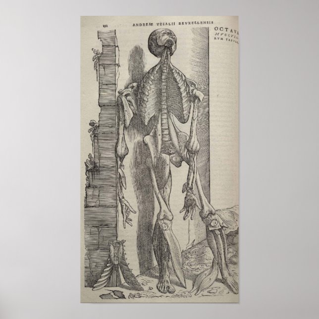 Affiches De Humani Corporis (Devant)