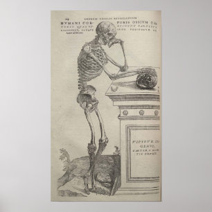 Affiches De Humani Corporis