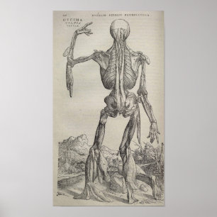 Affiches De Humani Corporis