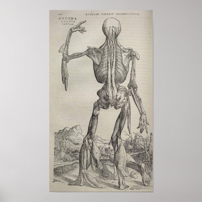 Affiches De Humani Corporis (Devant)