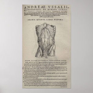 Affiches De Humani Corporis