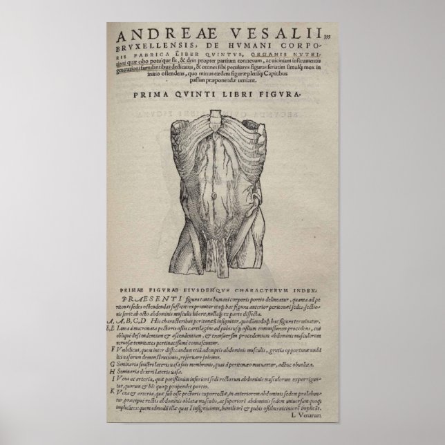 Affiches De Humani Corporis (Devant)
