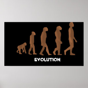 Affiches de l'évolution