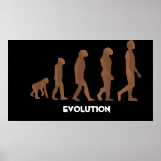 Affiches de l'évolution