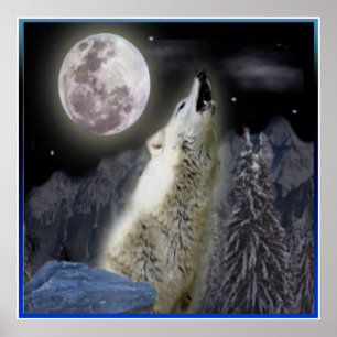 Affiches de loup