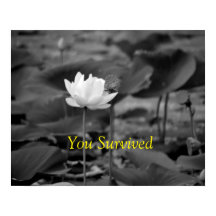 Affiches de plaidoyer contre la violence familiale