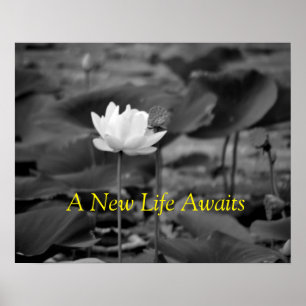 Affiches de plaidoyer contre la violence familiale