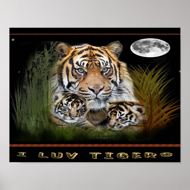affiches de tigres et de petits (Devant)