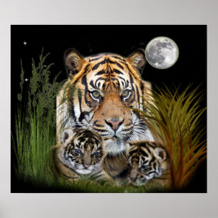 affiches de tigres et de petits