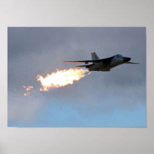 Affiches Décharge F111 et brûlure