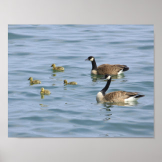 Affiches décoratives