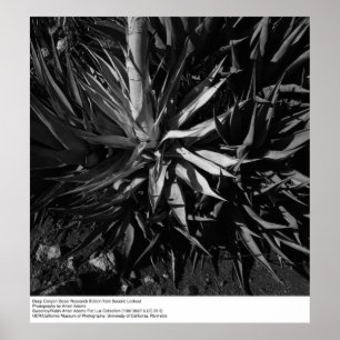 Affiches Deep Canyon Desert Research Station par Ansel Adam