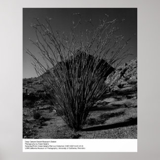 Affiches Deep Canyon Desert Research Station par Ansel Adam