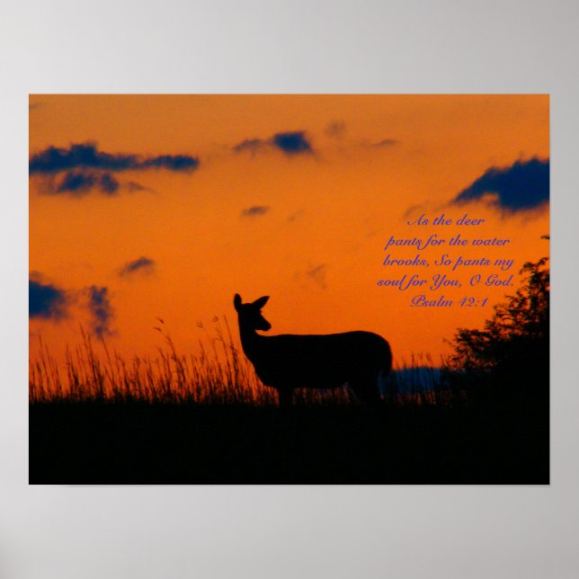 Affiches Deer Sunset (Devant)
