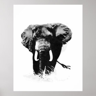 Affiches d'éléphants en noir et blanc
