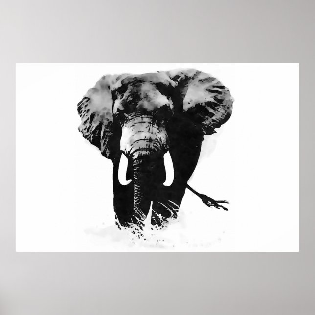 Affiches d'éléphants panoramiques en noir et blanc (Devant)