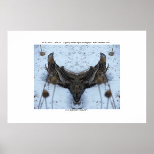 AFFICHES DÉMON DE RÉGION BOISÉE