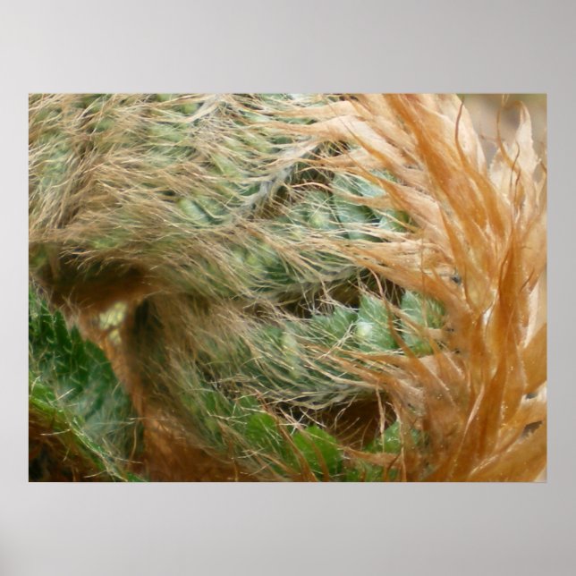 Affiches Dépliant (Devant)