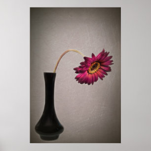 Affiches Déposez Gerbera Daisy Dans Vase