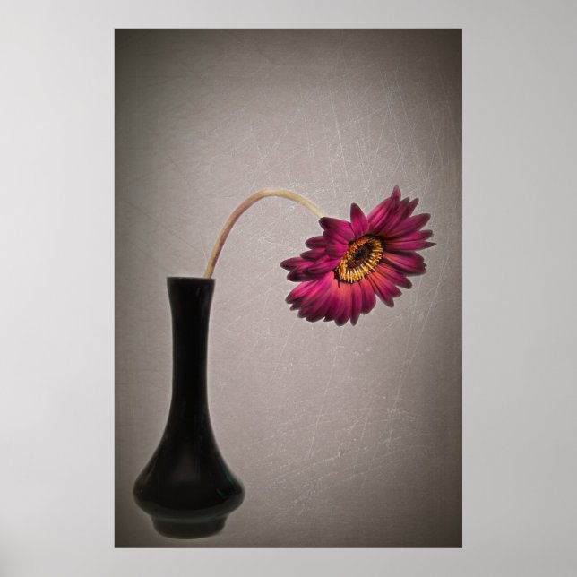 Affiches Déposez Gerbera Daisy Dans Vase (Devant)