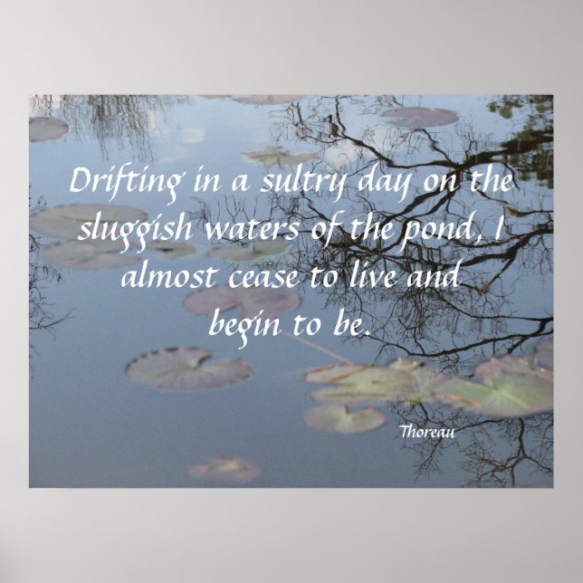 Affiches Dérive sur l'étang (Devant)