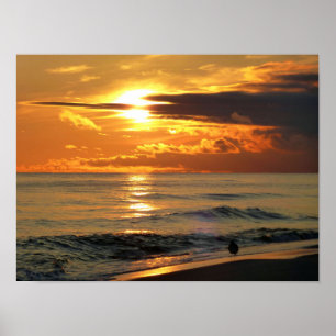 Affiches Dernier Sandpiper