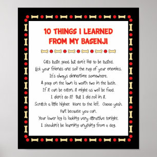 Affiches Des Choses Drôle Que J'Ai Apprises De Mon Basenji