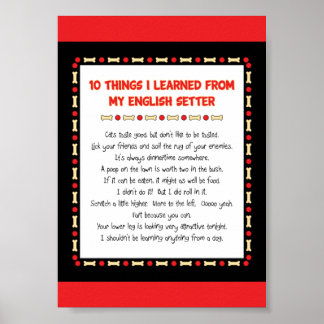 Affiches Des Choses Drôle Que J'Ai Apprises De Mon Setter A