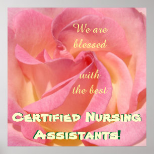 Affiches des meilleurs assistants de soins infirmi