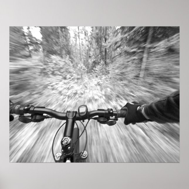 Affiches Descente d'une section de buff de singletrack 2 (Devant)