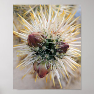 Affiches Desert beauty