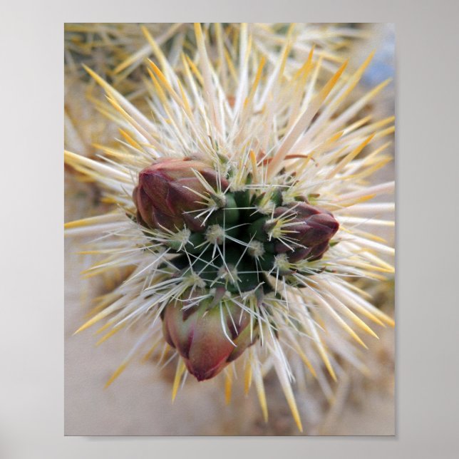 Affiches Desert beauty (Devant)