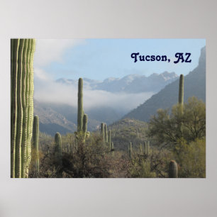 Affiches Desert de Tucson