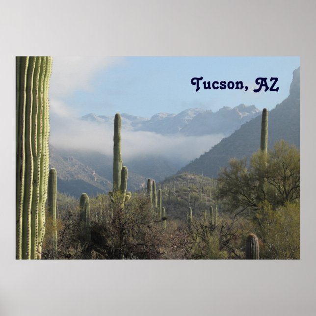 Affiches Desert de Tucson (Devant)