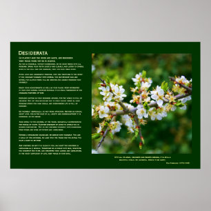 Affiches Desiderata - Baubépine de printemps à pattes de so