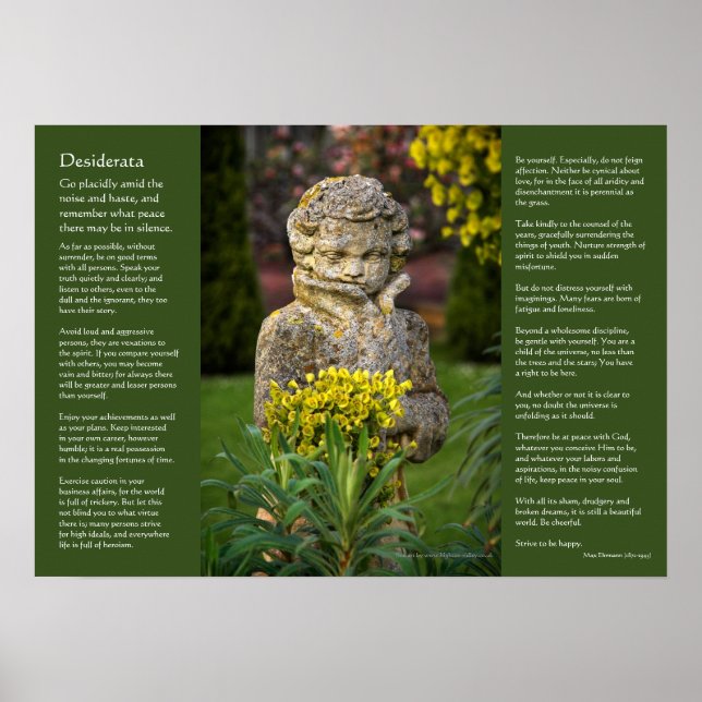 Affiches Desiderata - Garçon avec Spring Posy, statue de ja (Devant)