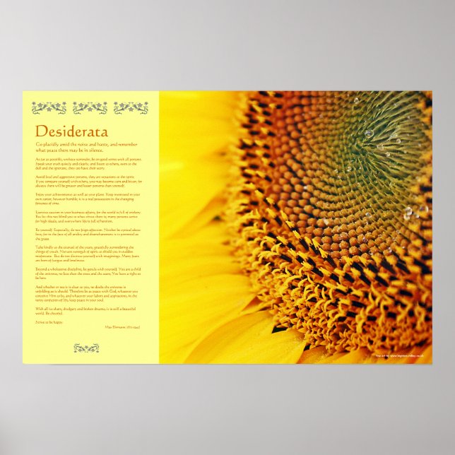 Affiches Desiderata - Graines de tournesol doré (Devant)