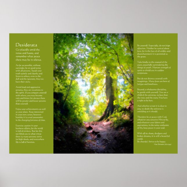 Affiches Desiderata - La Dernière ascension (Devant)