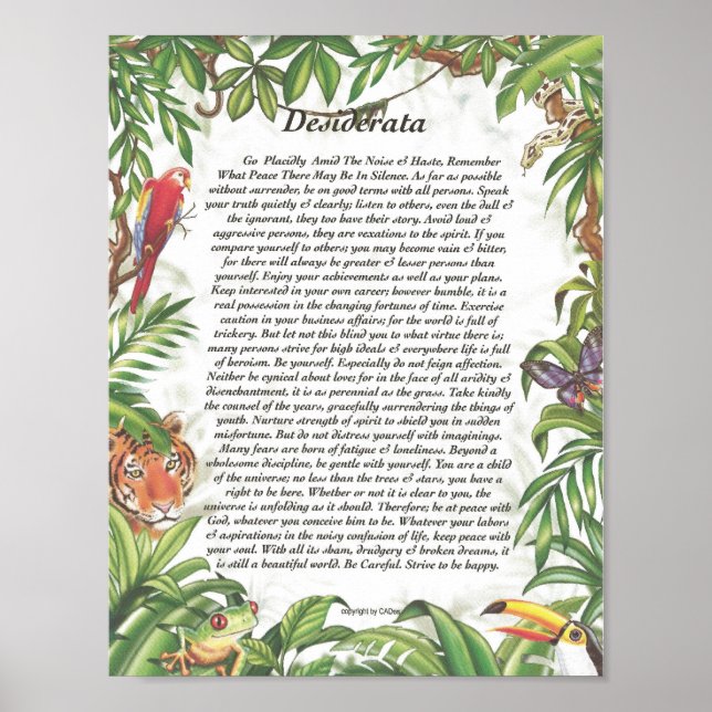 Affiches DESIDERATA Tropical Rain Forest (Devant)