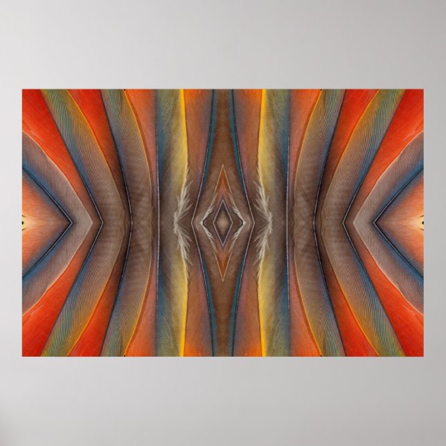 Affiches Design de la plume Scarlet Macaw (Devant)