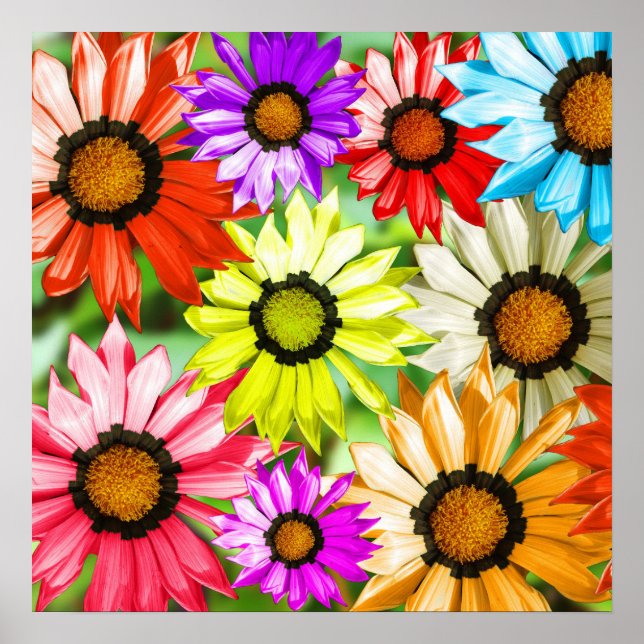 Affiches Design fleuri gerbera coloré (Devant)