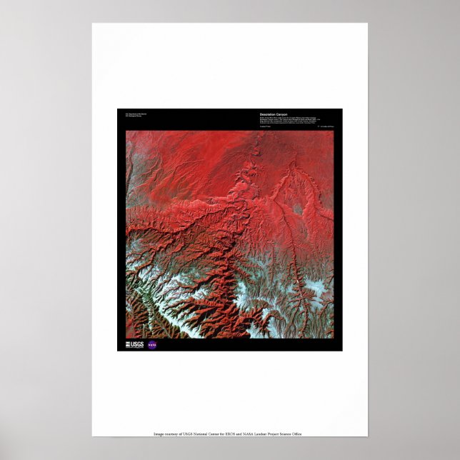 Affiches Desolation Canyon Utah (Devant)