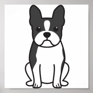 Affiches Dessin de Boston Terrier Dog