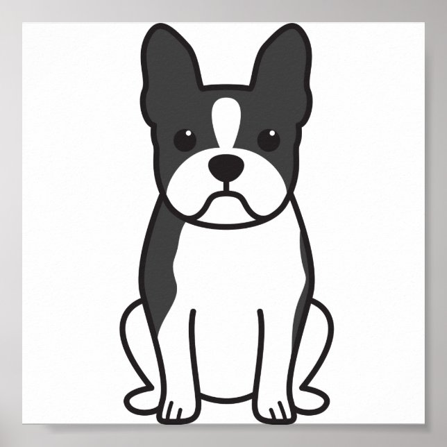 Affiches Dessin de Boston Terrier Dog (Devant)