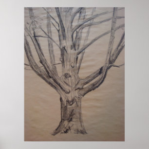 Affiches Dessin de charbon de bois d'un arbre