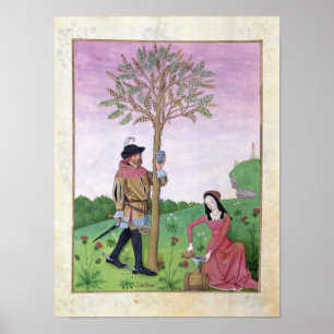 Affiches Dessin de sap à partir d'un arbre