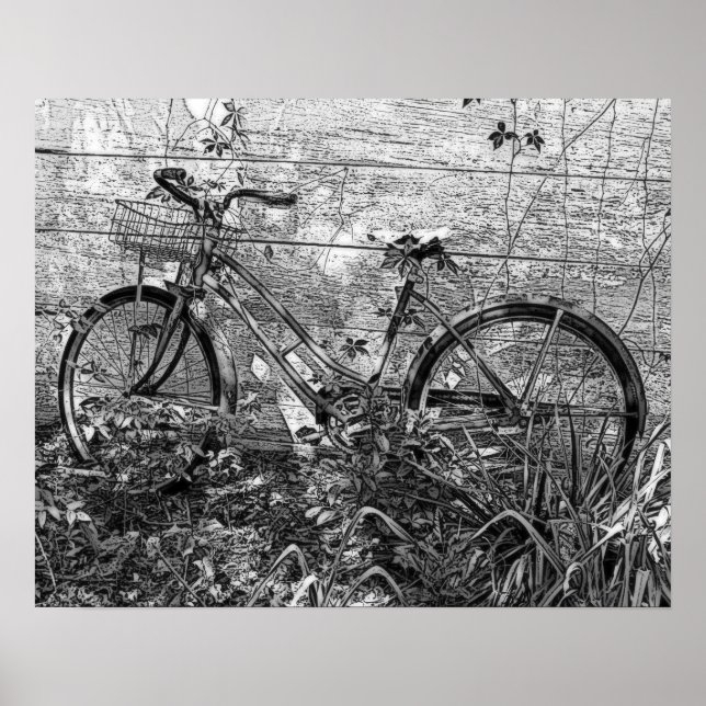 Affiches Dessin de vieux vélos abandonnés, noir et blanc (Devant)